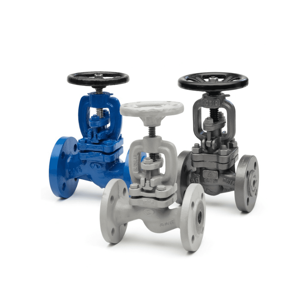 Globe Valves